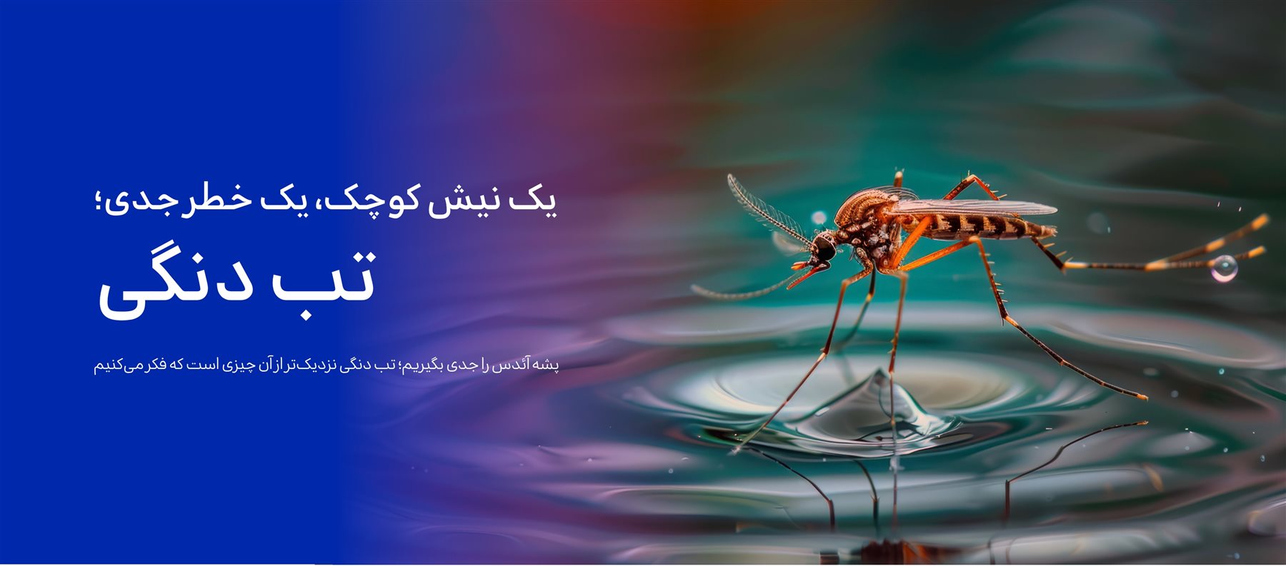 تب دنگی